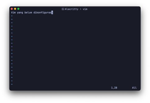 Vim belum dikonfigurasi